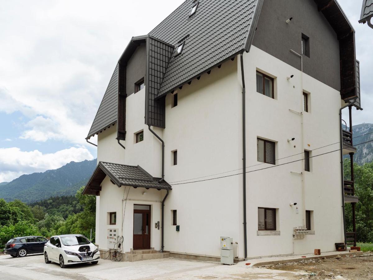 Nature Loft By The River Buşteni Exterior foto